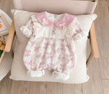 سالوبيت مستورد خريفى فراشات